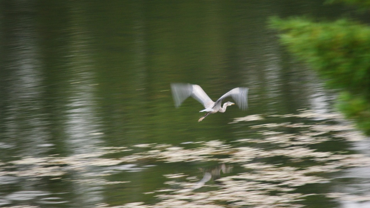 Photo of Others in Tay Valley