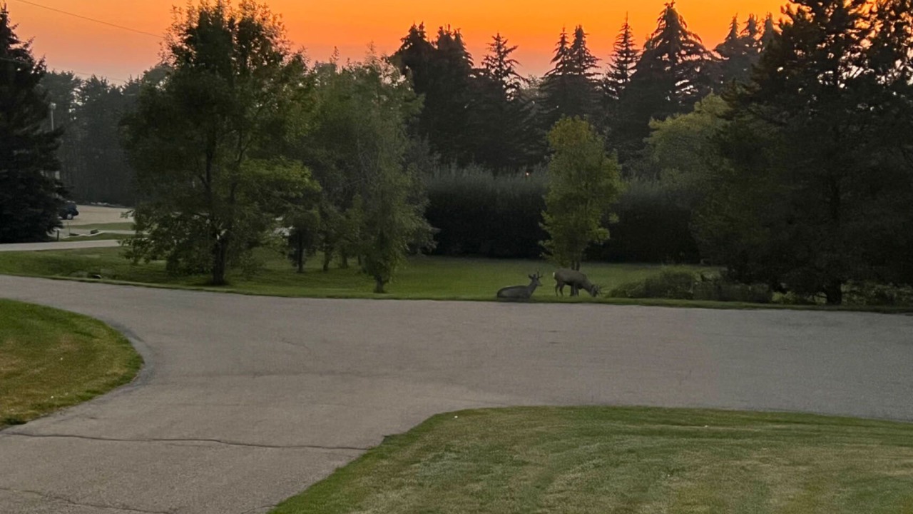 Photo of Others in Red Deer