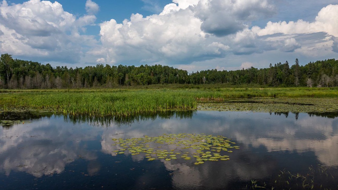 Photo of Outdoor in Kiamika