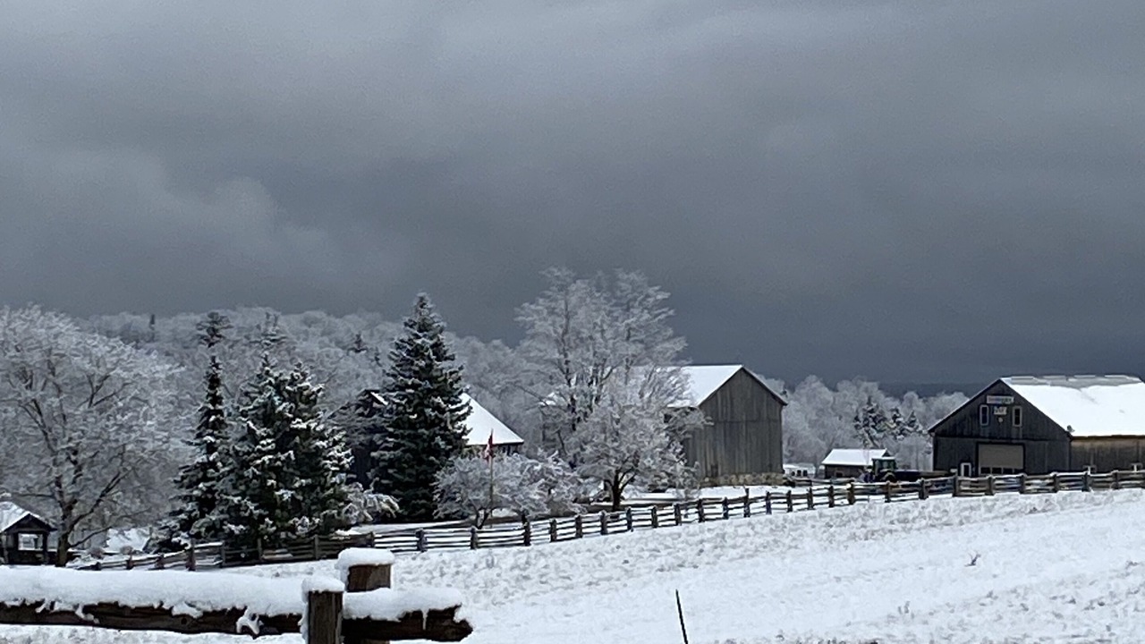 Photo of Outdoor in Duntroon