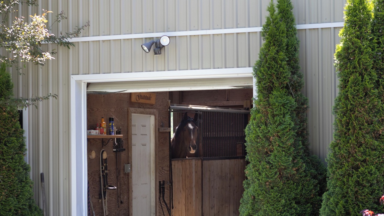 Photo of Outdoor in Loyalist