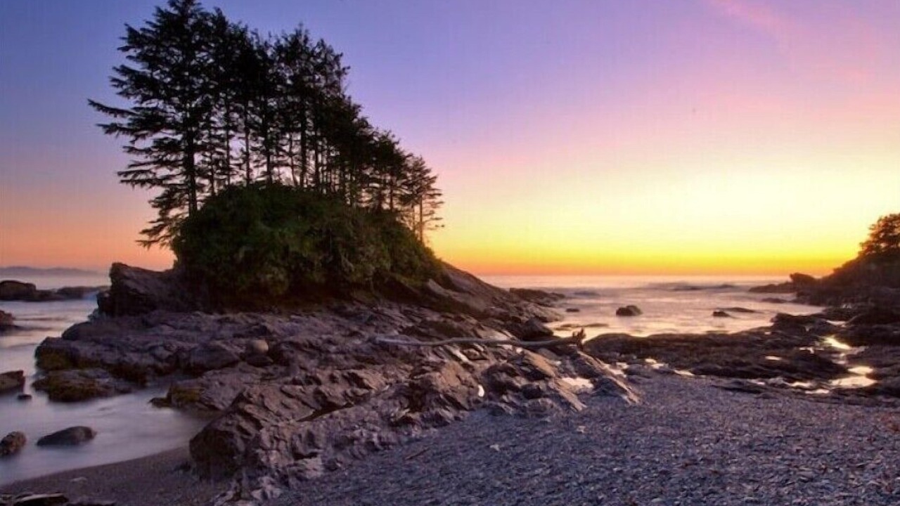 Photo of Others in Port Renfrew