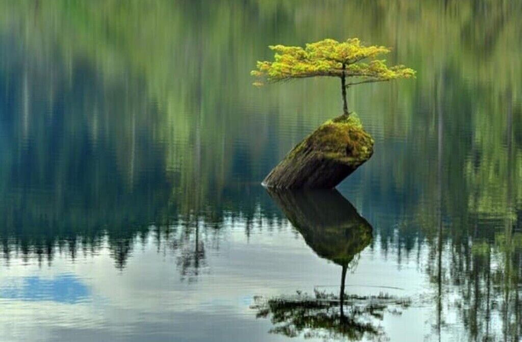 Photo of Outdoor in Port Renfrew