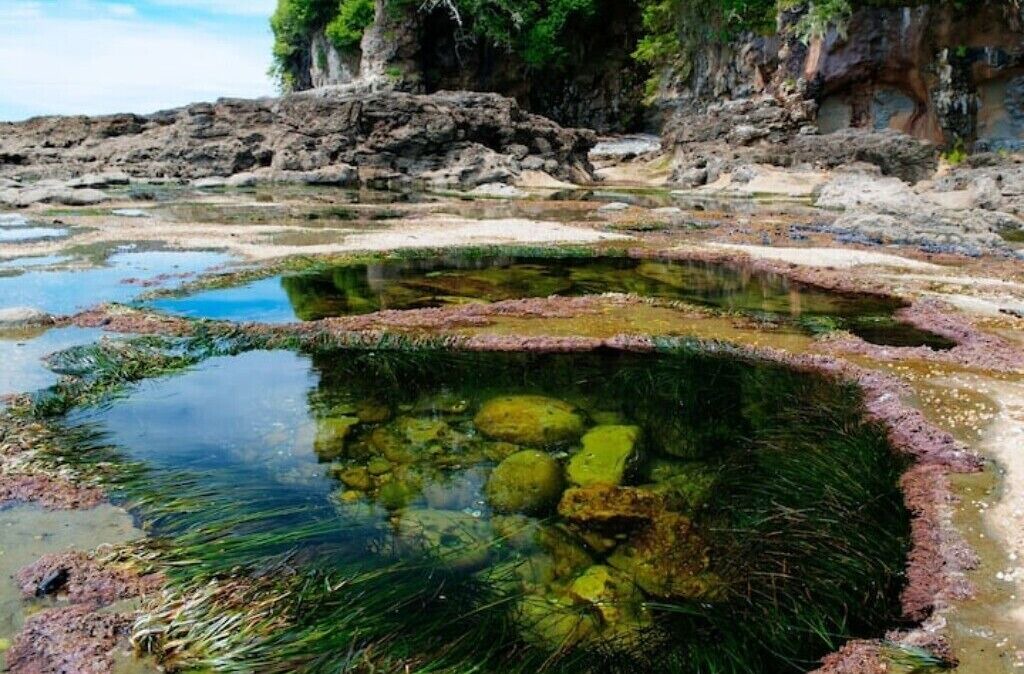 Photo of Outdoor in Port Renfrew