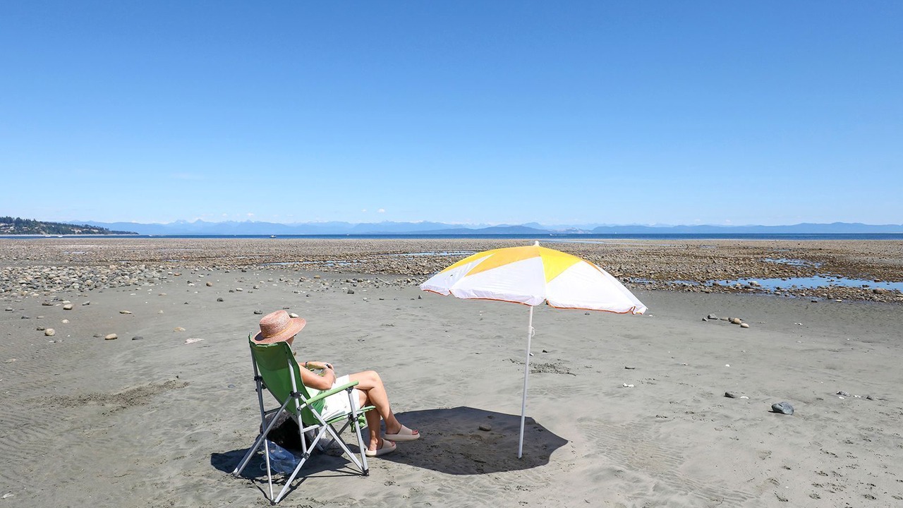 Photo of Others in Courtenay