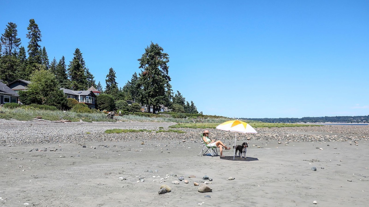 Photo of Others in Courtenay