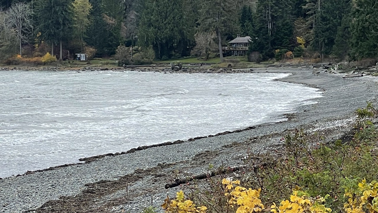 Photo of Others in Courtenay