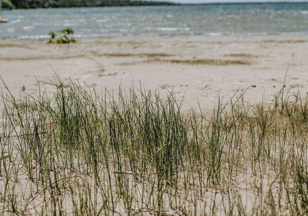 Photo of Others in Stokes Bay