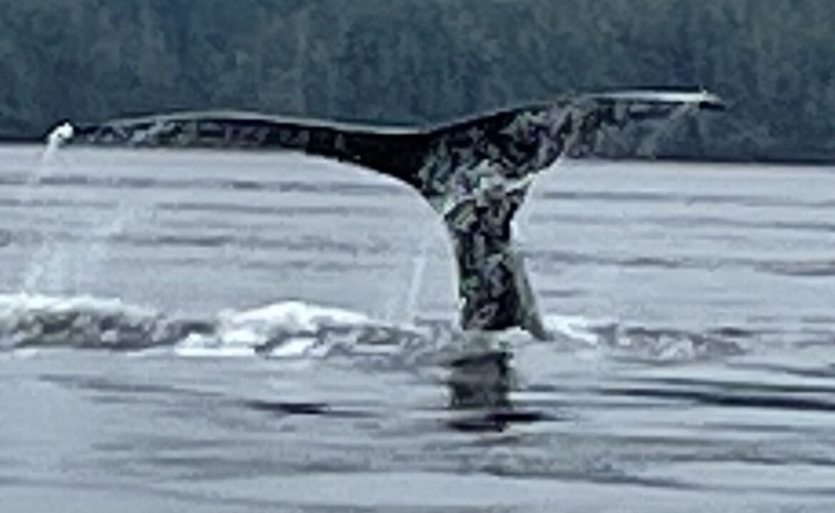 Photo of Others in Regional District of Nanaimo