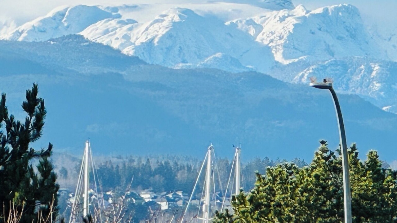 Photo of Others in Comox