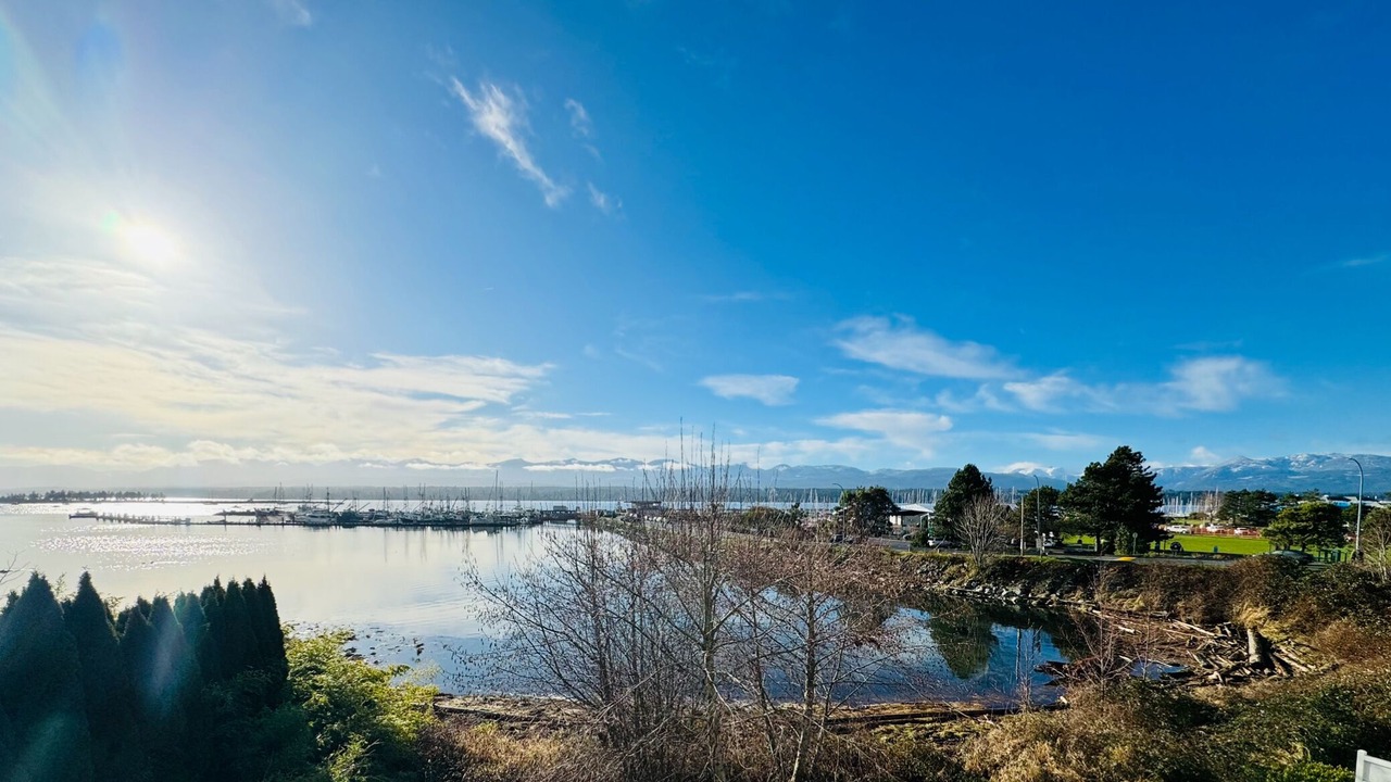 Photo of Others in Comox