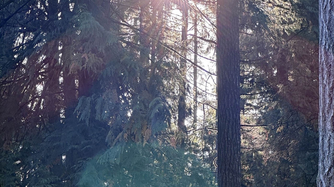 Photo of Outdoor in Mission