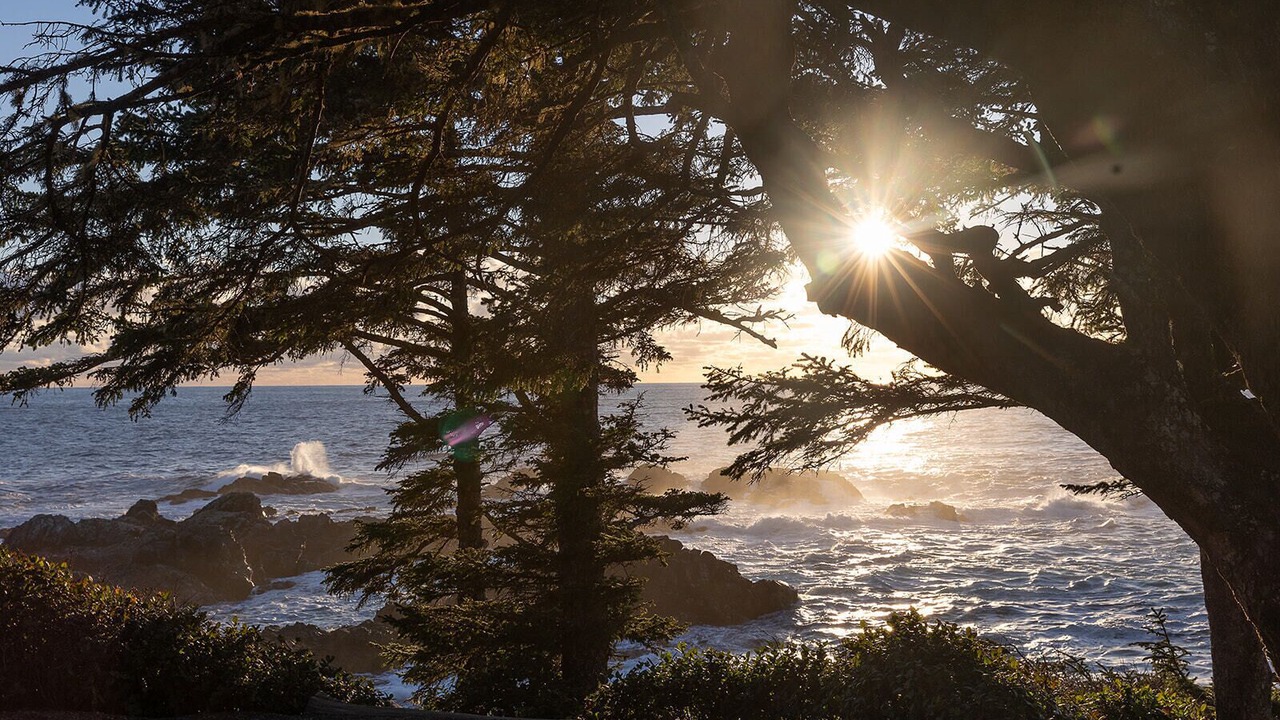 Photo of Others in Ucluelet