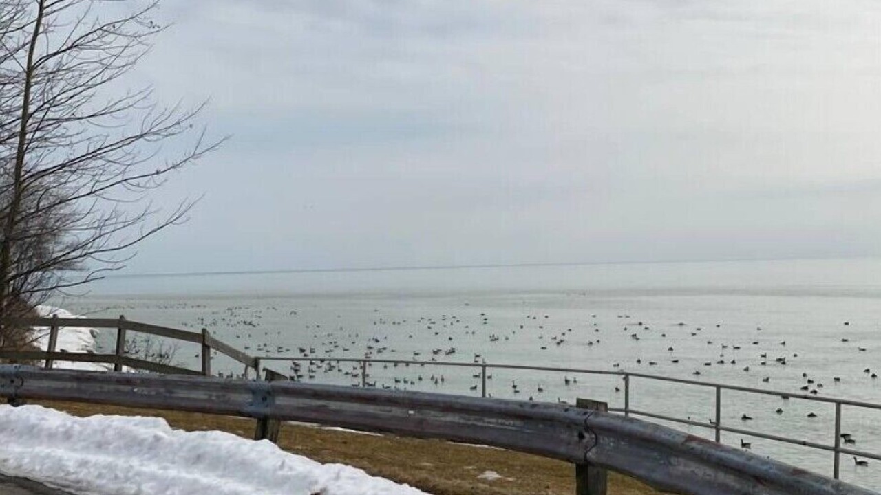 Photo of Outdoor in Northumberland County