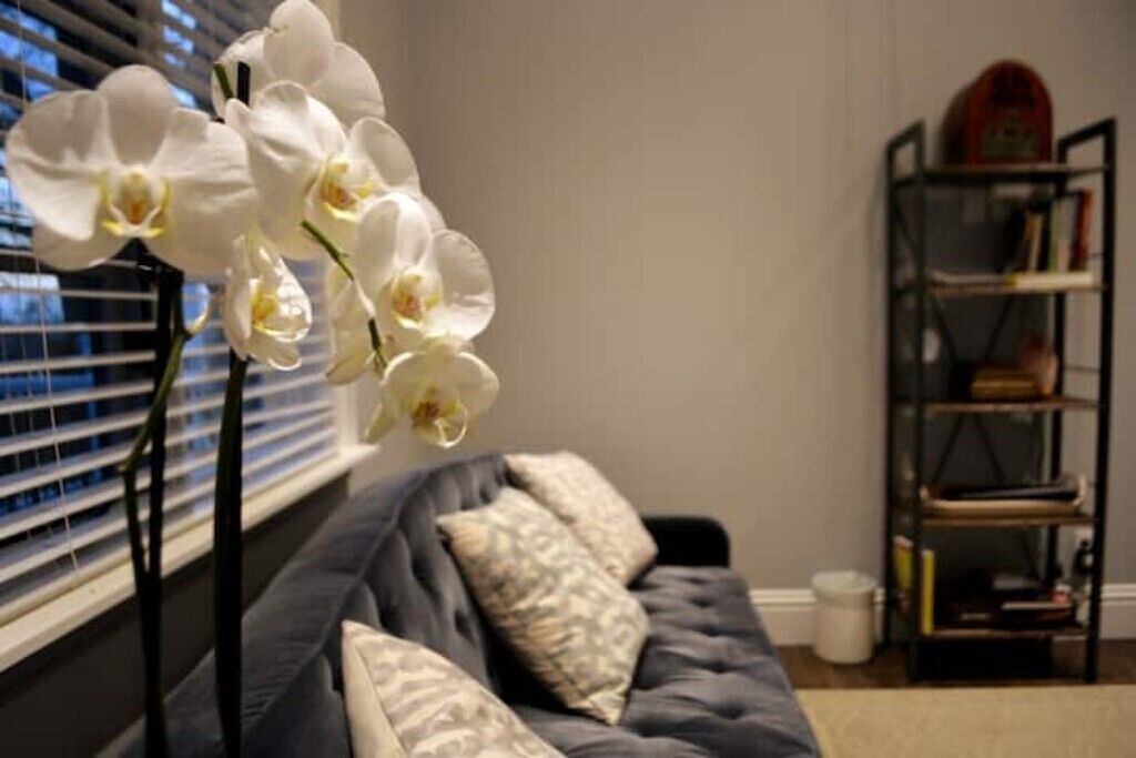 Photo of Livingroom in Jordan Harbour