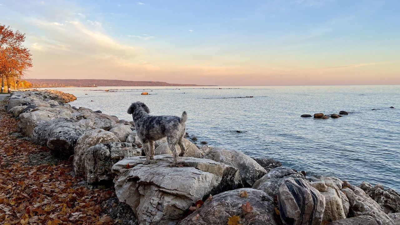 Photo of Others in Meaford