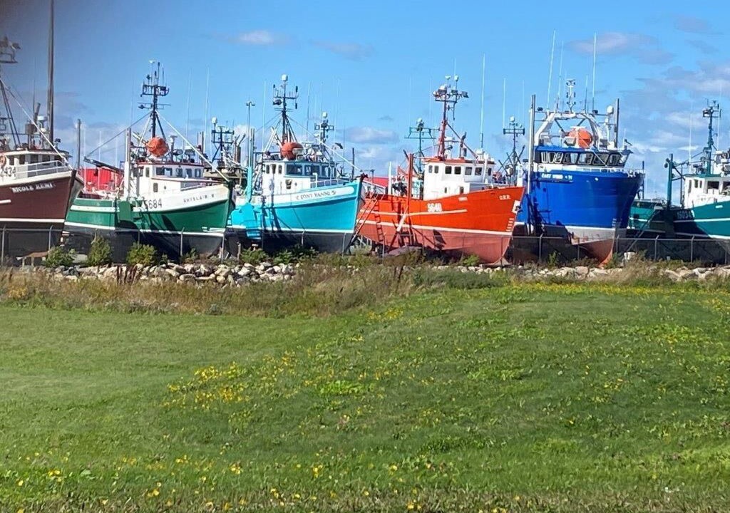 Photo of Others in Tabusintac