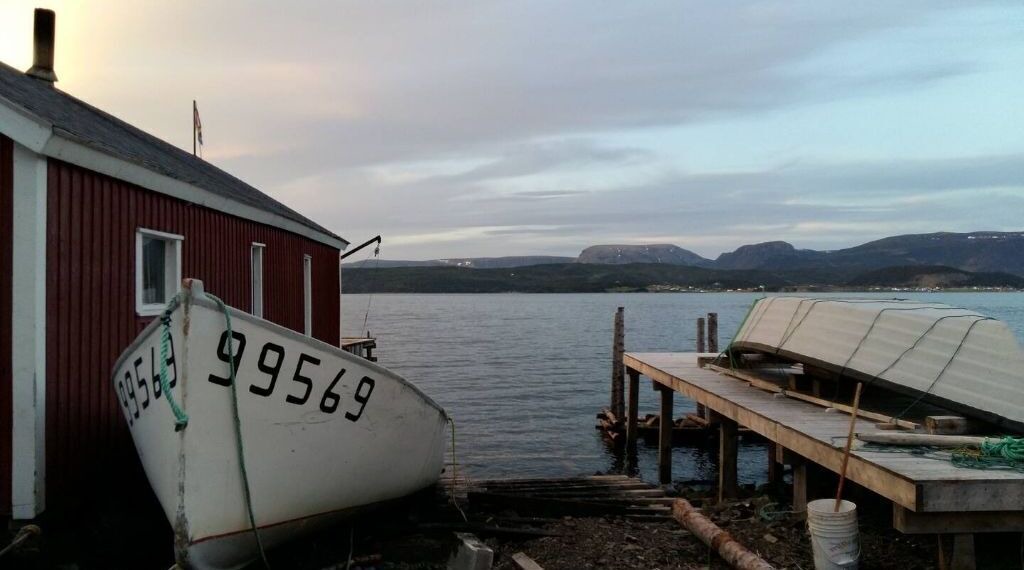 Photo of Others in Woody Point