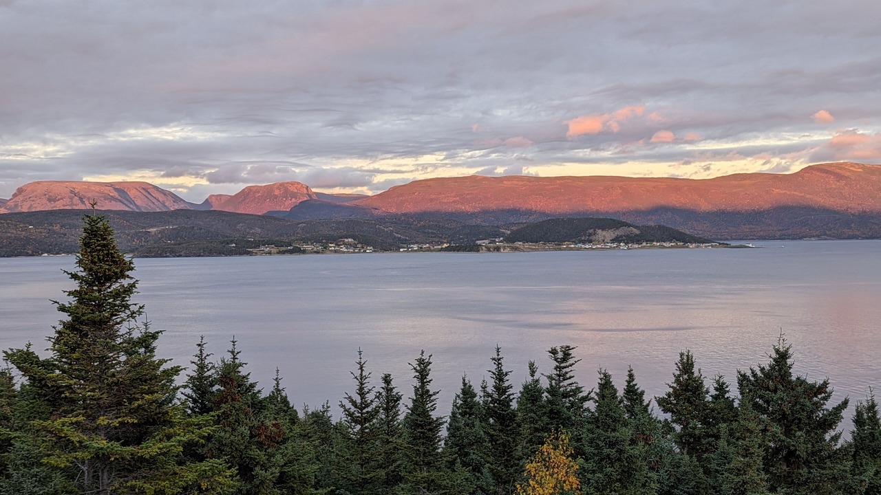 Photo of Others in Woody Point