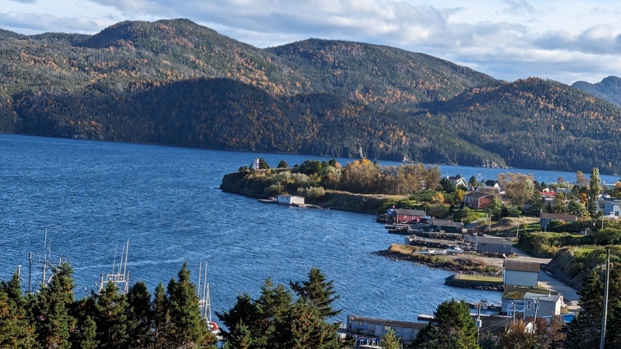 Photo of Others in Woody Point