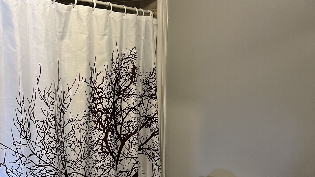 Photo of Bathroom in Walkerville