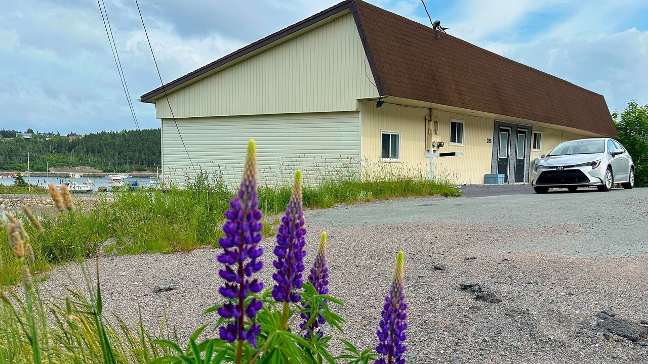 Photo of Others in Norman's Cove-Long Cove