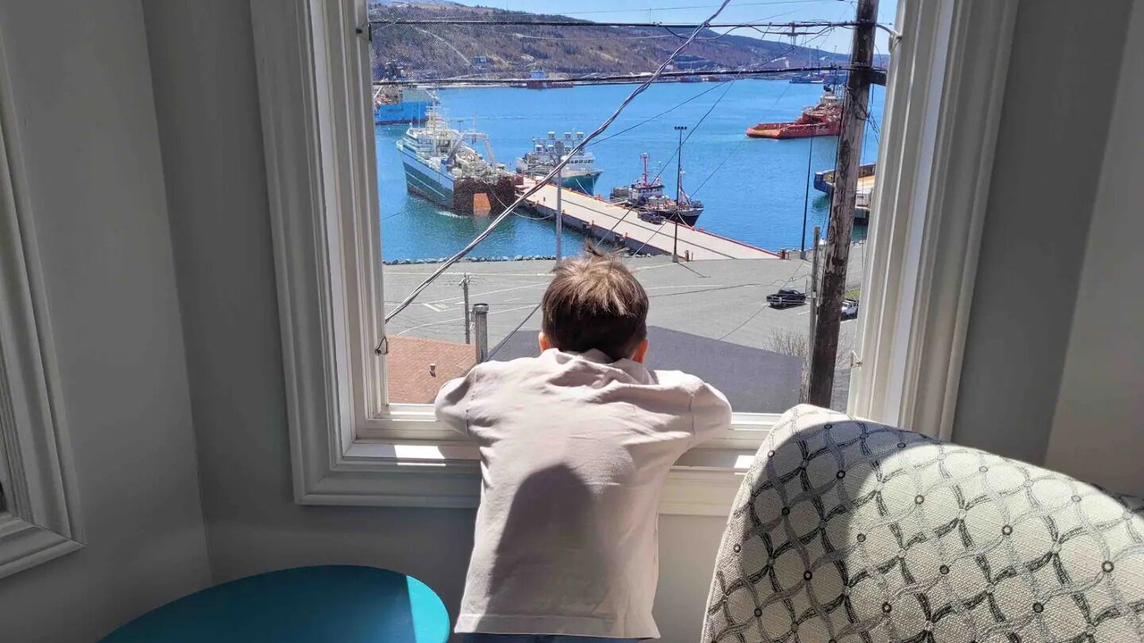 Photo of Others in Downtown St. John's