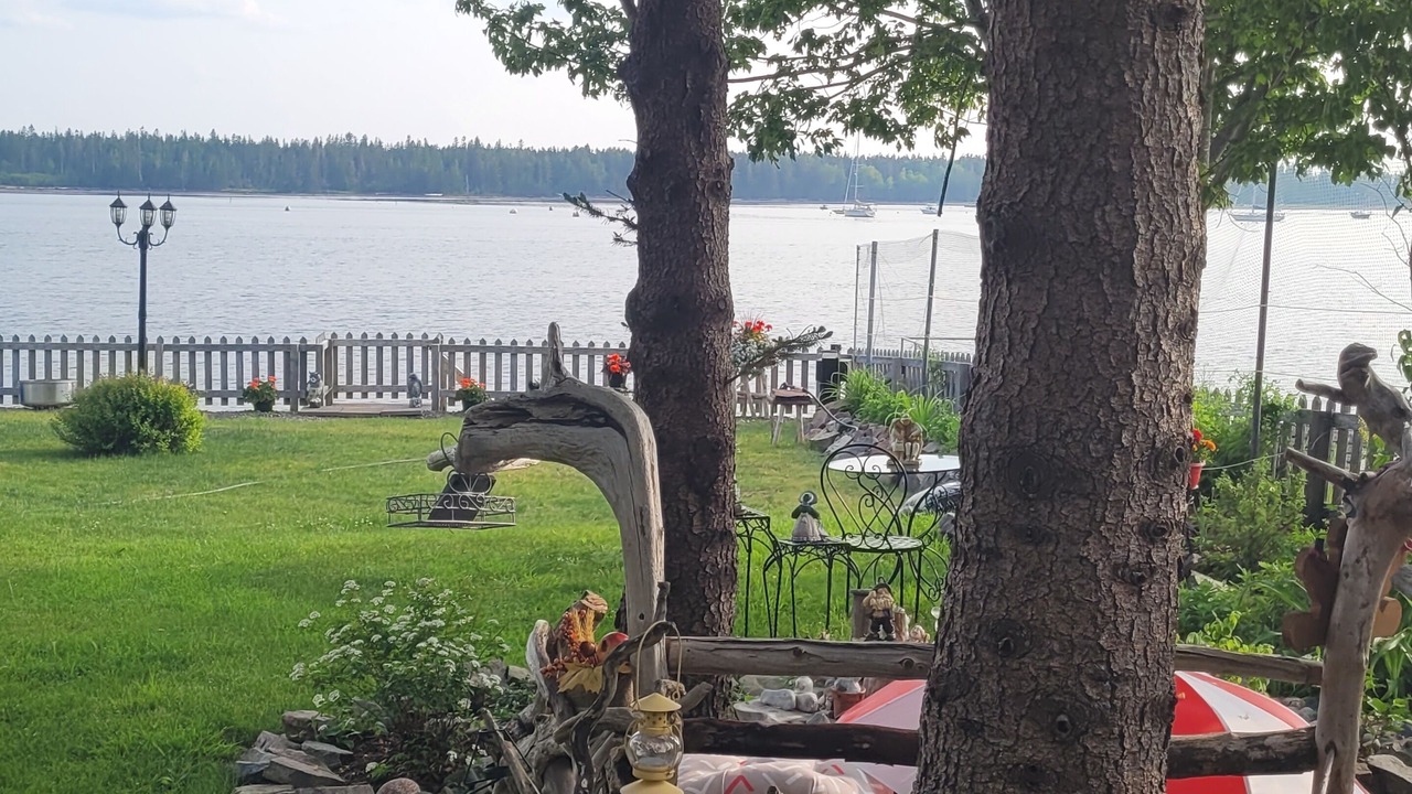 Photo of Outdoor in St. Andrews