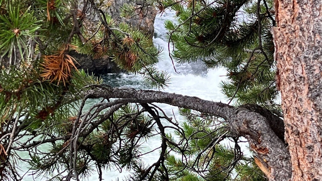 Photo of Others in McKellar