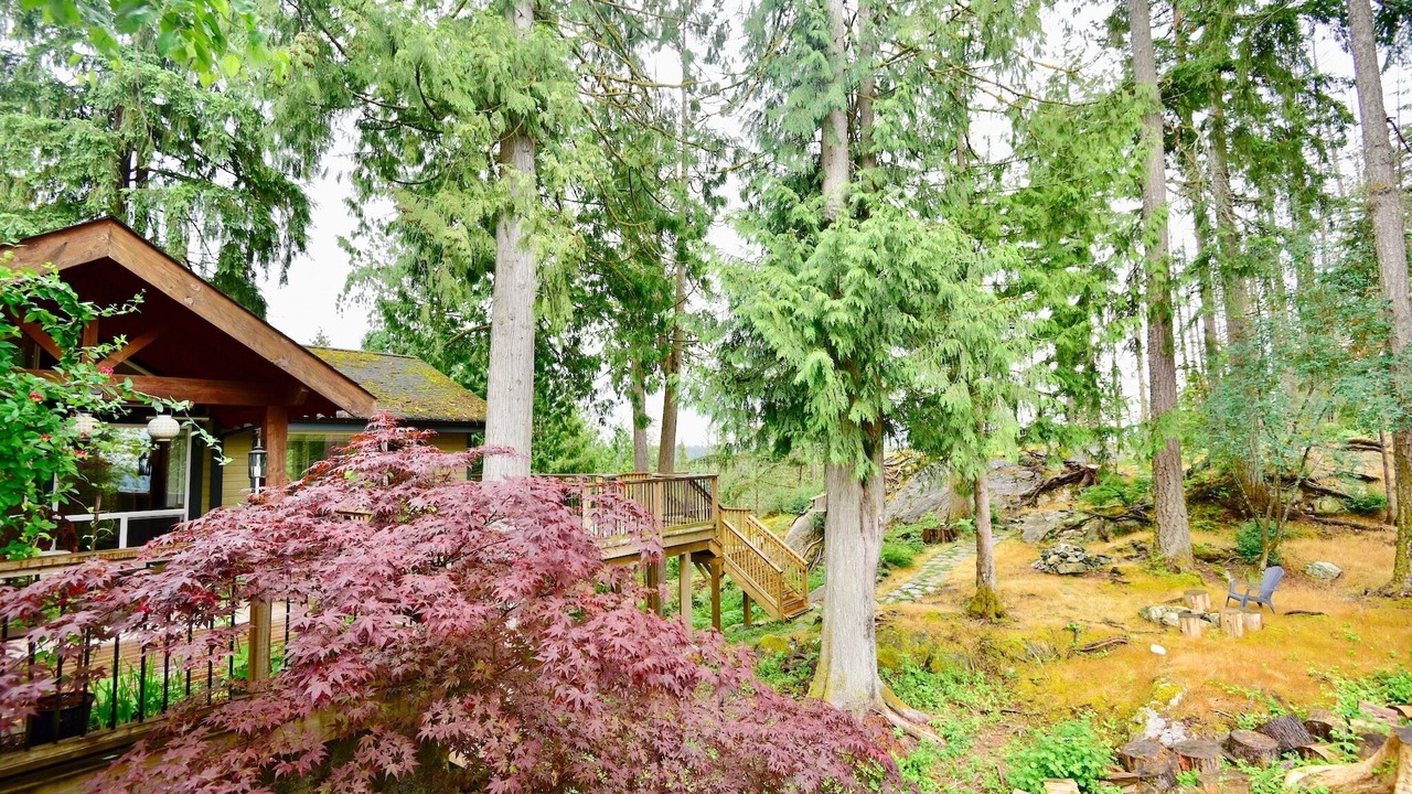 Photo of Outdoor in Maple Ridge