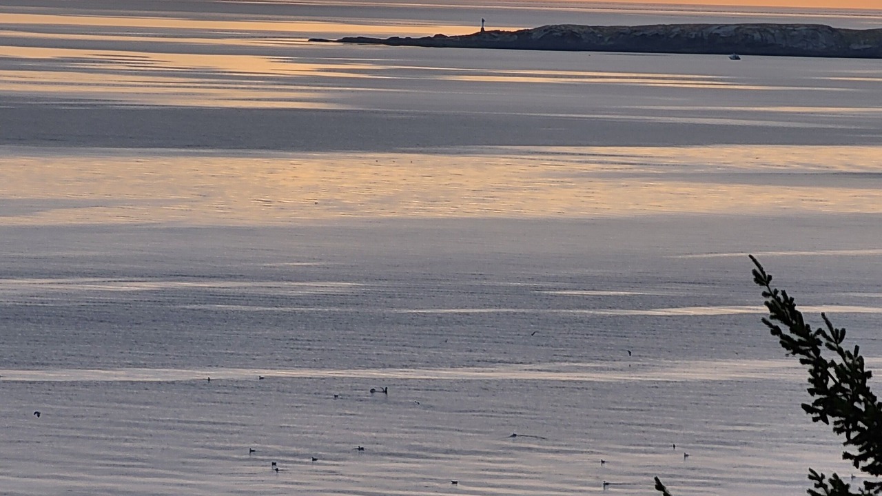 Photo of Others in Regional District of Nanaimo