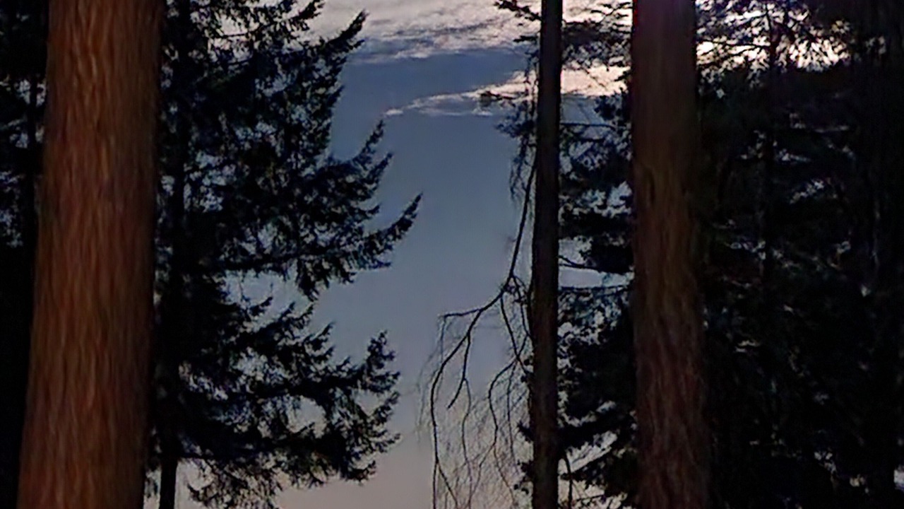 Photo of Others in Regional District of Nanaimo