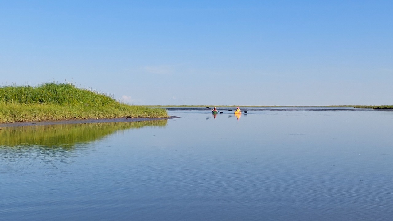 Photo of Others in Prince County