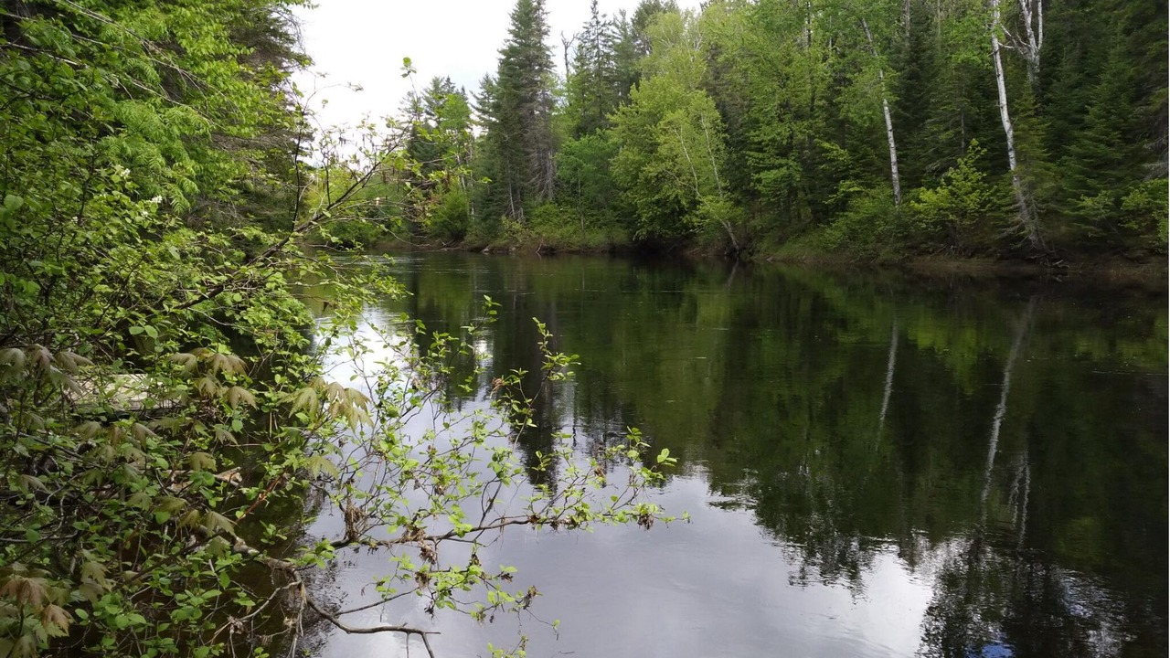 Photo of Outdoor in Mauricie