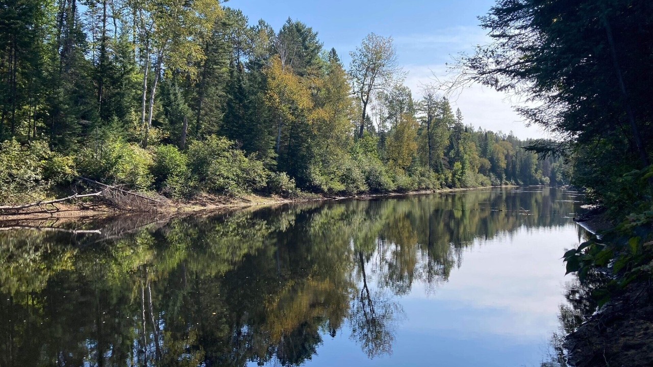 Photo of Others in Mauricie