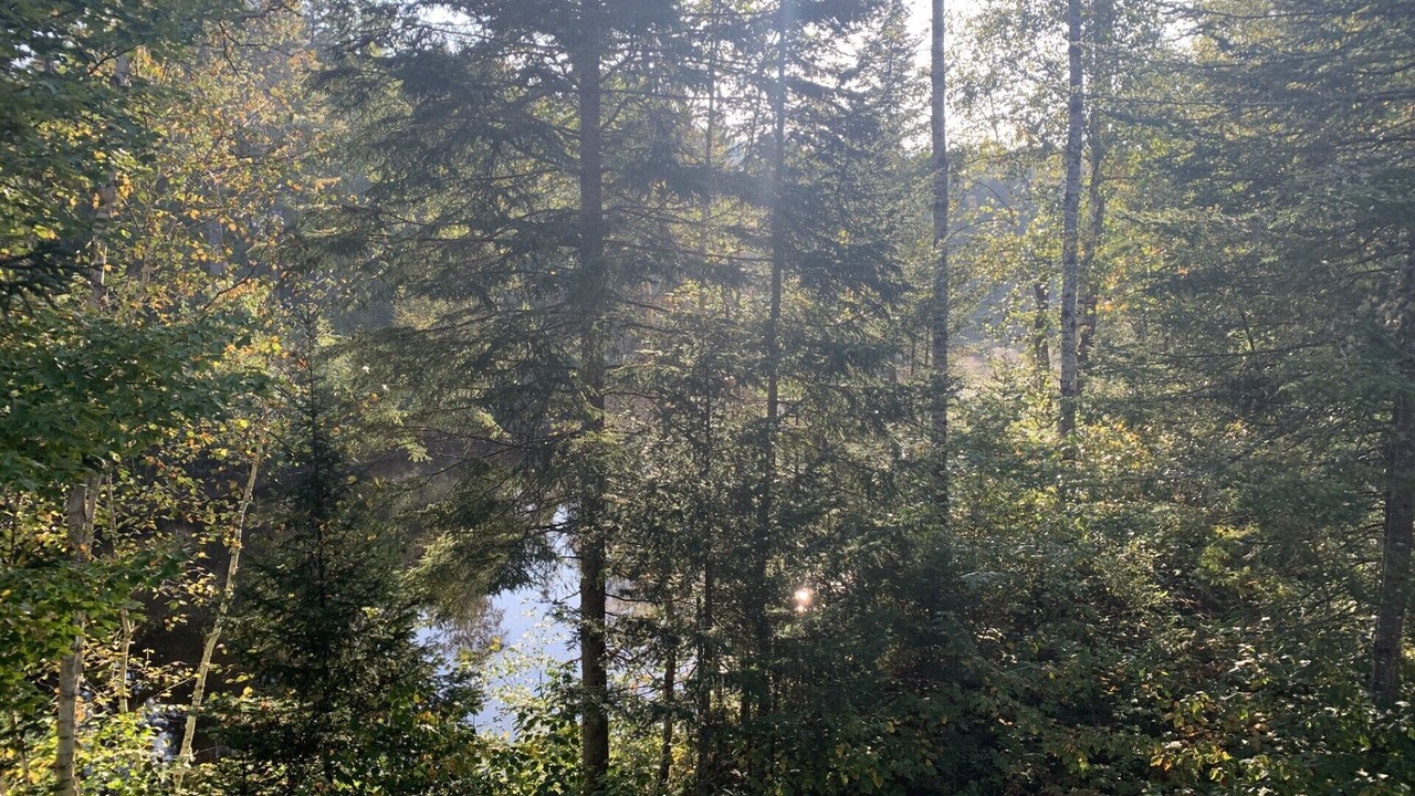 Photo of Outdoor in Mauricie