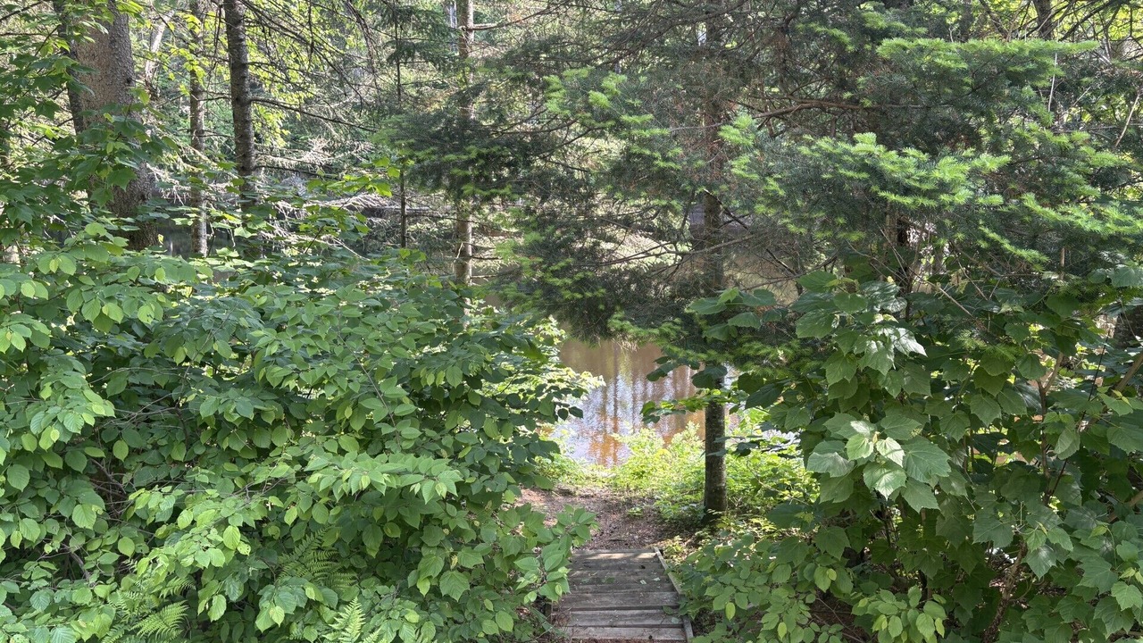 Photo of Outdoor in Mauricie