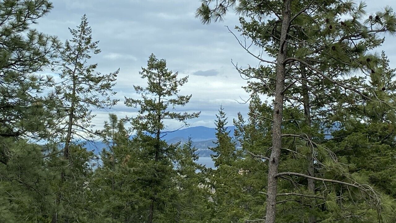 Photo of Others in West Kelowna Estates