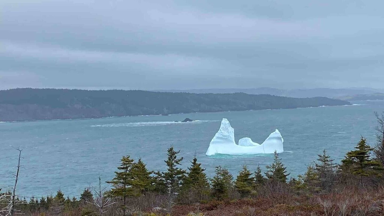Photo of Others in Harbour Grace