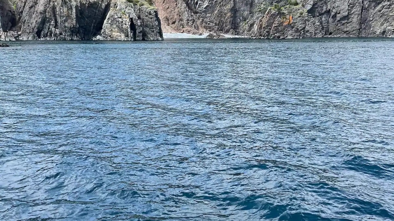 Photo of Others in Harbour Grace
