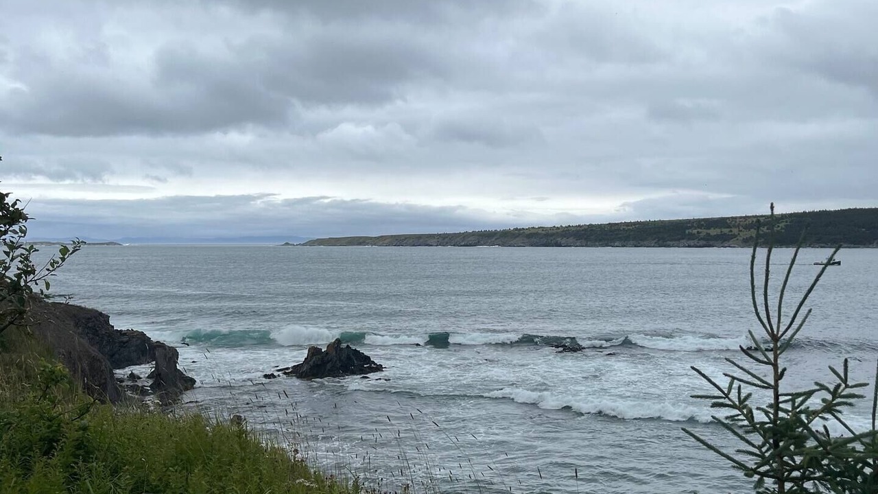 Photo of Others in Harbour Grace