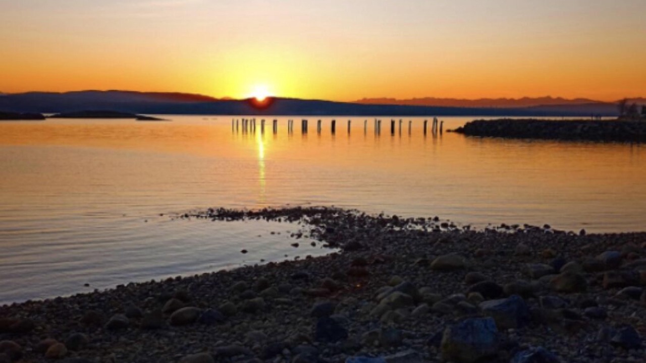 Photo of Others in Powell River