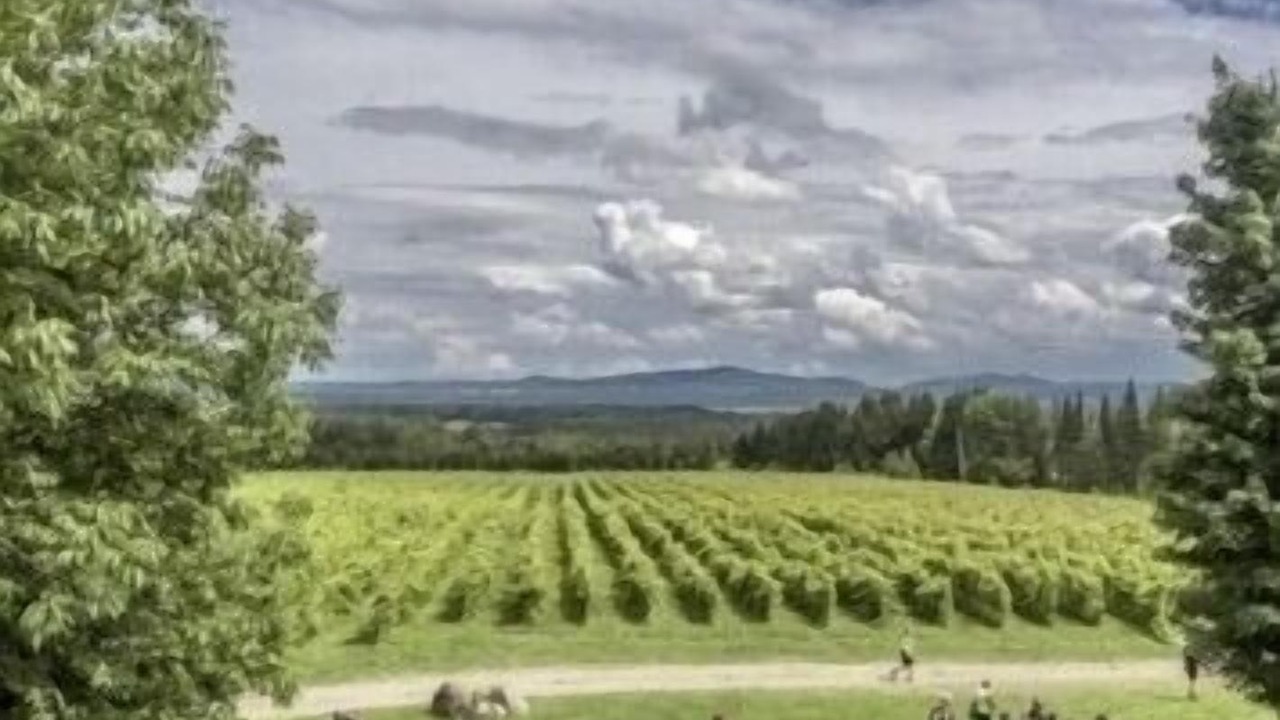 Photo of Others in Lac-Brome