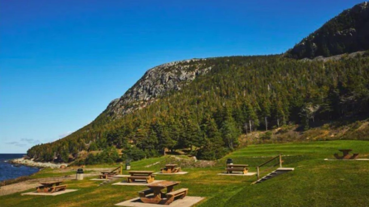 Photo of Outdoor in Paradise