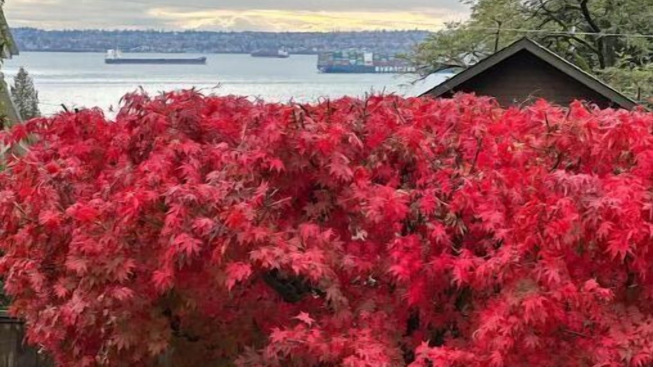 Photo of Others in West Vancouver