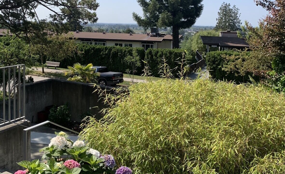 Photo of Outdoor in Fraserview