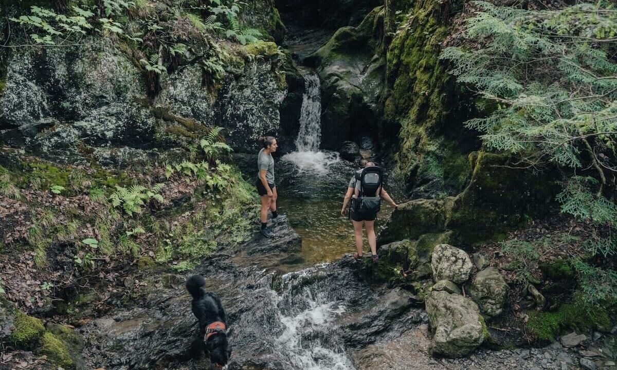 Photo of Others in Eastman