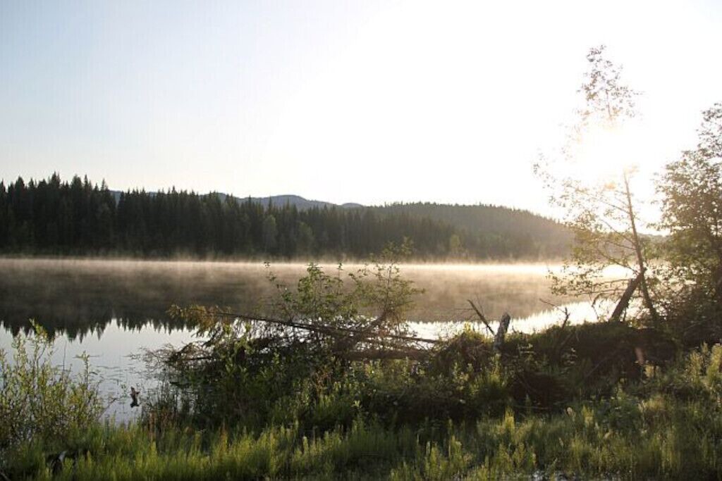 Photo of Outdoor in Canim Lake