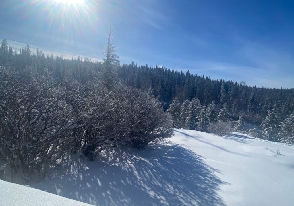 Photo of Outdoor in Canim Lake