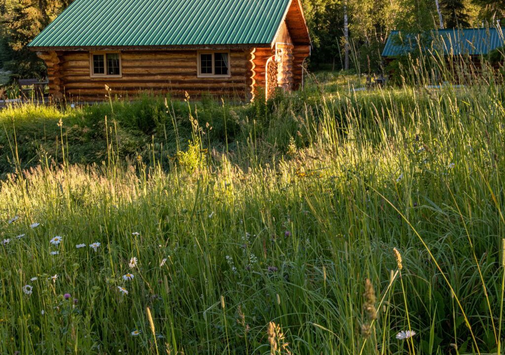 Photo of Outdoor in Canim Lake